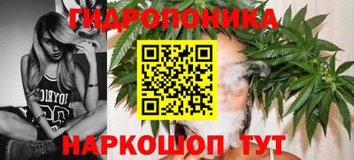 хмурый Бийск