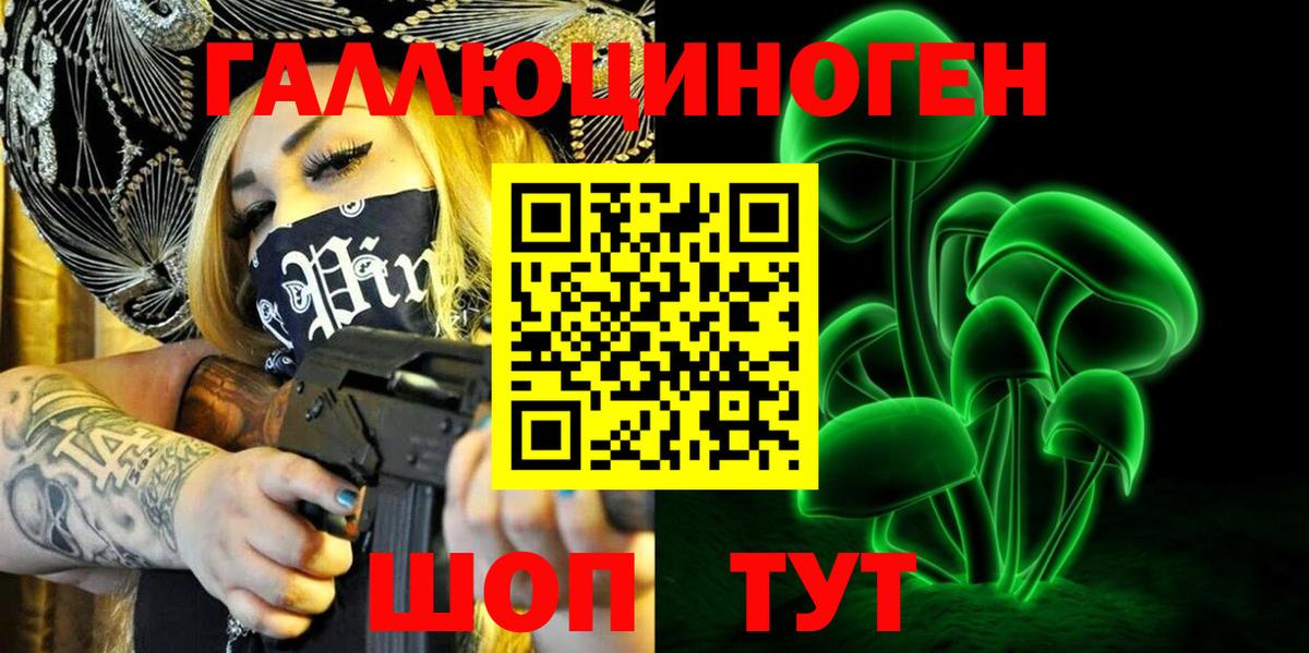 Галлюциногенные грибы Psilocybe  Вход с VPN  Заводоуковск 
